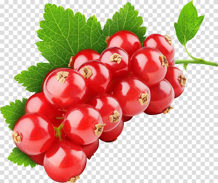 Fruit Tutti frutti Red Mulberry Currant, others transparent background PNG clipart