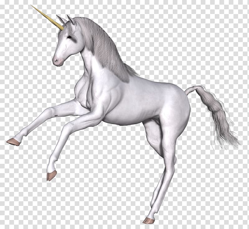 grey hopping unicorn art, Full White Unicorn Front Legs Up transparent background PNG clipart