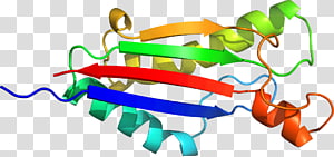 Line , design transparent background PNG clipart thumbnail