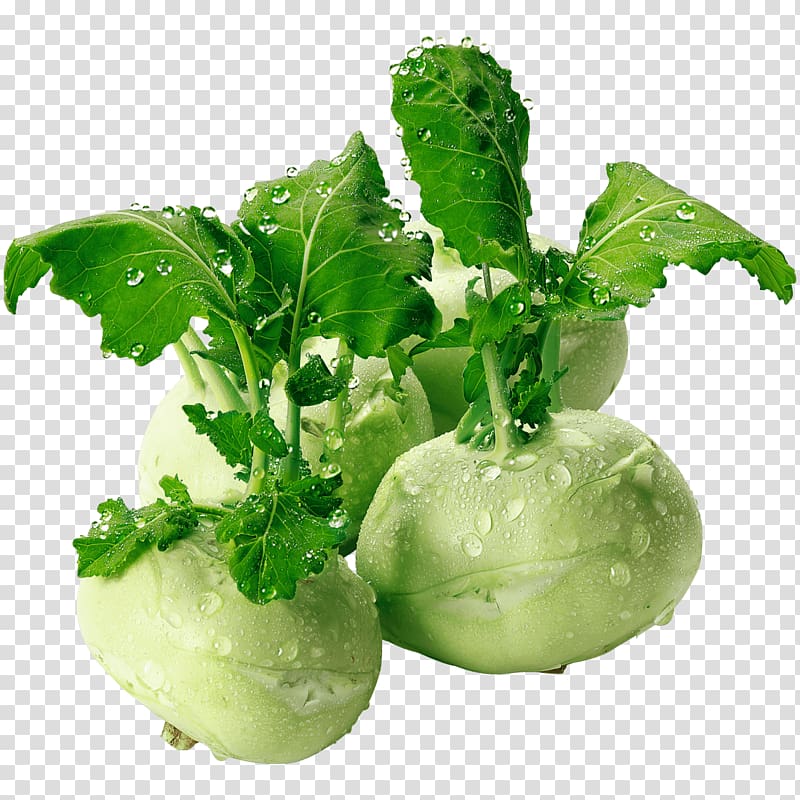 Kohlrabi Vegetarian cuisine Vietnamese cuisine Cabbage Cauliflower, cabbage transparent background PNG clipart