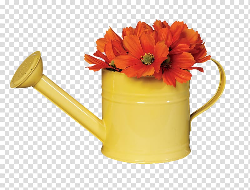 Watering Cans Gardening 97 Things to Do Before You Finish High School , others transparent background PNG clipart