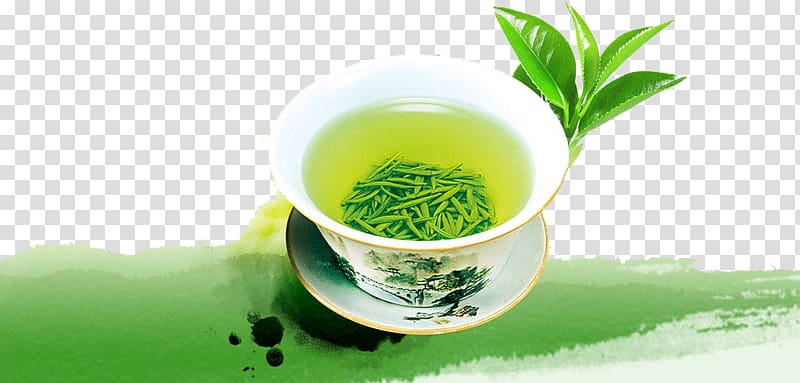 Green tea Yum cha Tieguanyin Longjing tea, Green tea transparent background PNG clipart