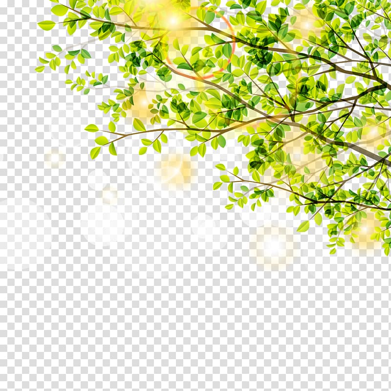 green leafed plant, Leaf Green Euclidean Tree, Spring trees and sunshine material transparent background PNG clipart