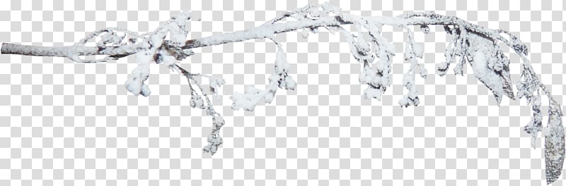 snow-covered branches transparent background PNG clipart