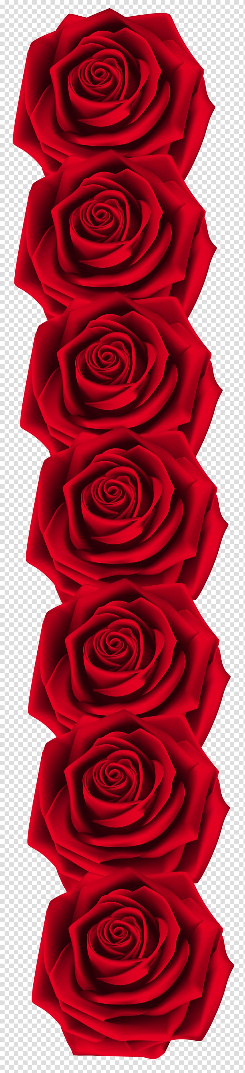 red roses , Garden roses , Red Roses Decoration transparent background PNG clipart