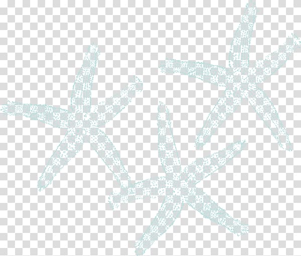 Marine invertebrates Starfish Echinoderm, waterfalls transparent background PNG clipart