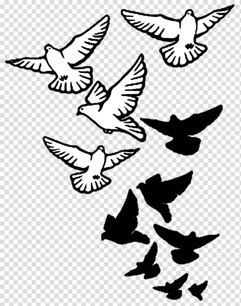 Columbidae Bird Tattoo Drawing Domestic pigeon, pigeon transparent background PNG clipart