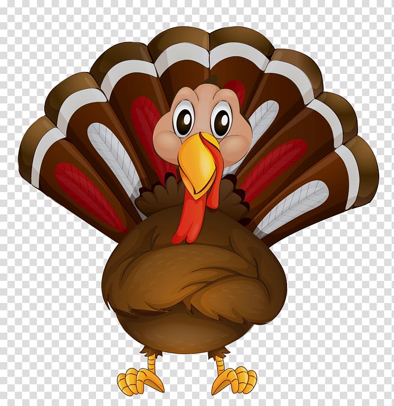 Bird Parrot , Thanksgiving Turkey , turkey cartoon illustration transparent background PNG clipart