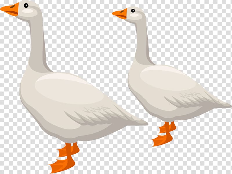 Duck Domestic goose American Pekin, Hand-painted goose transparent background PNG clipart