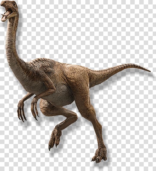 Gallimimus Parasaurolophus The Lost World Dinosaur Jurassic Park, dinosaur transparent background PNG clipart