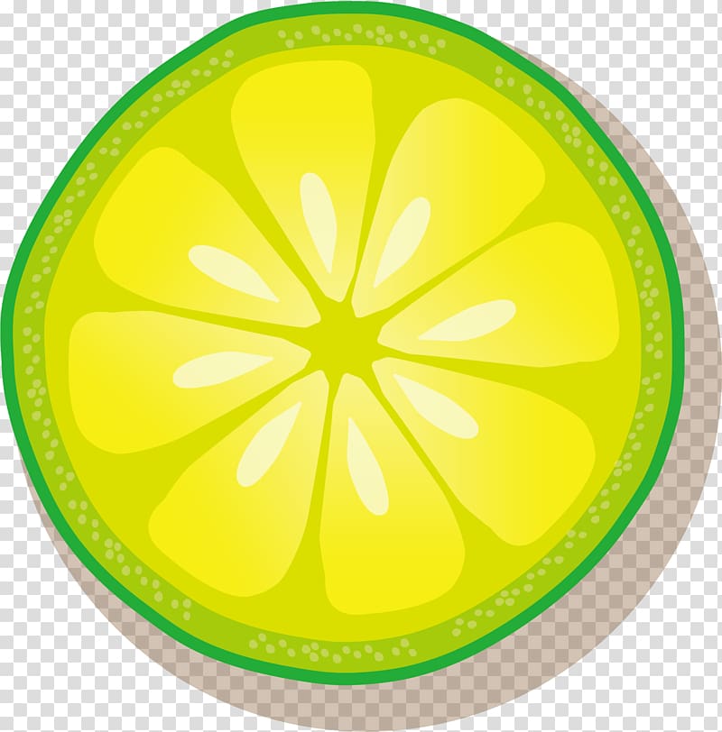 Lemon Lime, hand-painted lemon slices transparent background PNG clipart