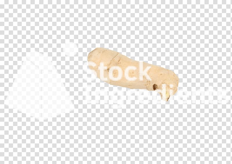Invertebrate Finger, Ginger Root transparent background PNG clipart