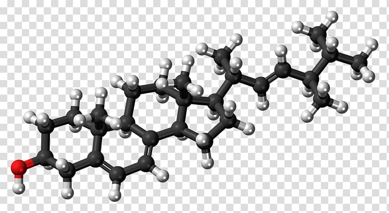 Cholesterol Ball-and-stick model Stigmasterol Lipid, others transparent background PNG clipart