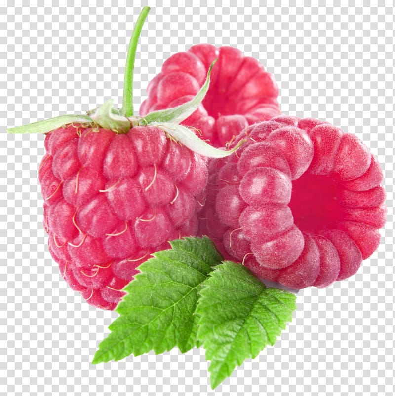 red fruit illustrationm, Raspberry Fruit , Large Raspberries transparent background PNG clipart