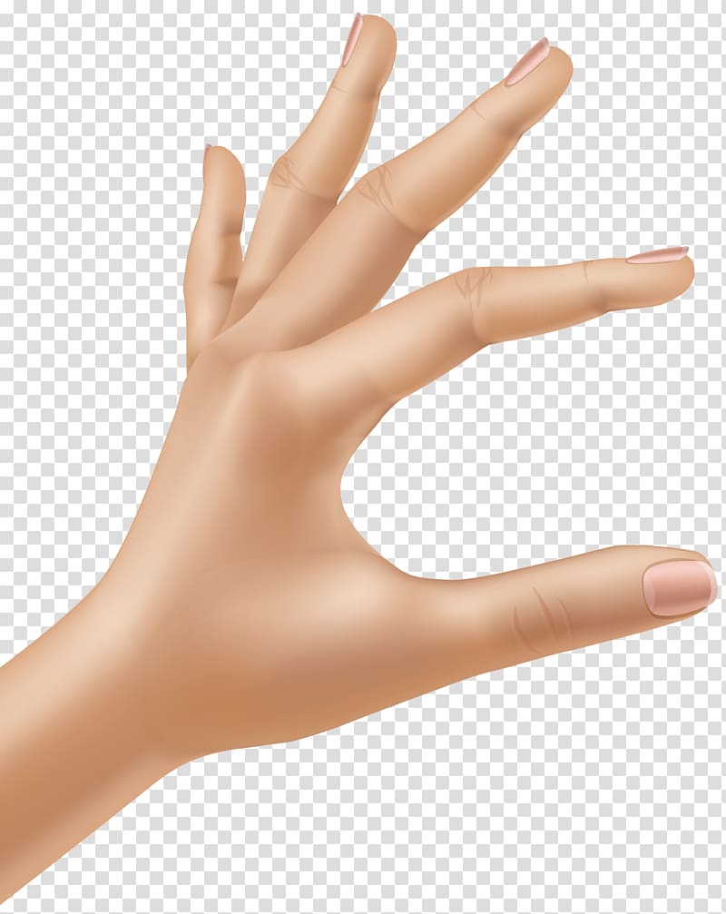 , Hand transparent background PNG clipart