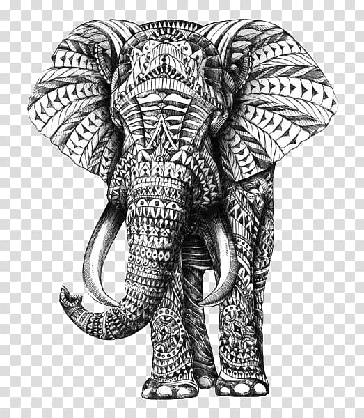 gray and black elephant illustration, Indian elephant Drawing Ornament Sketch, Painted elephant transparent background PNG clipart