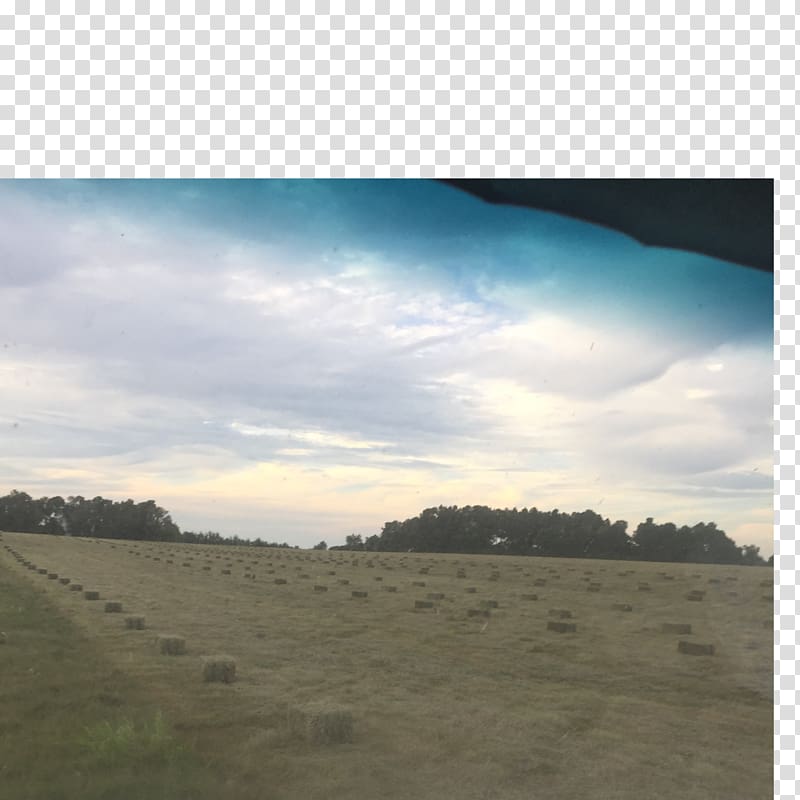 Cumulus Steppe Grassland Land lot Ecoregion, others transparent background PNG clipart