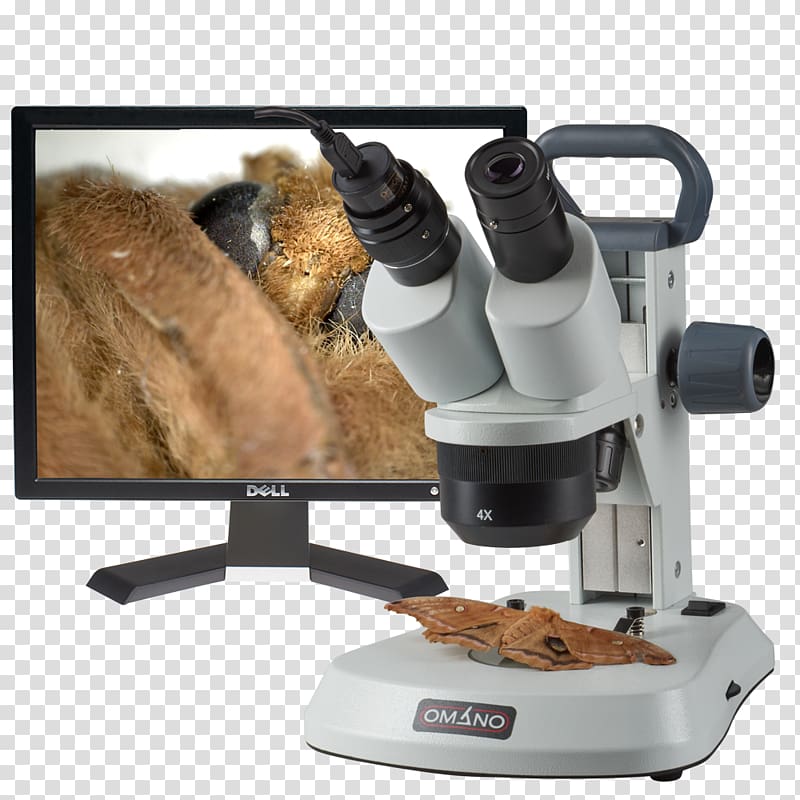 Stereo microscope Optical microscope Digital microscope 20x, microscope transparent background PNG clipart