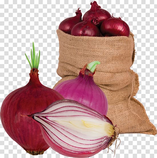 Red onion Shallot Vegetable Food Garlic, onions transparent background PNG clipart