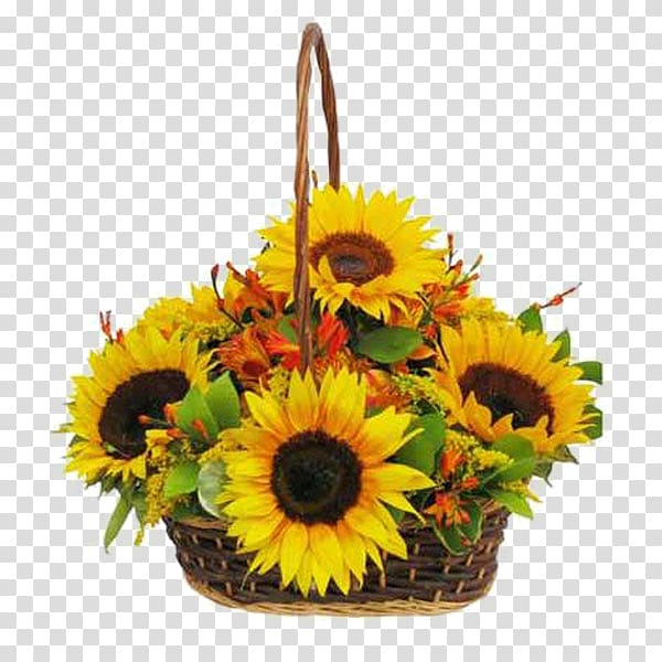 Common sunflower Floral design Floristry Basket, flower transparent background PNG clipart