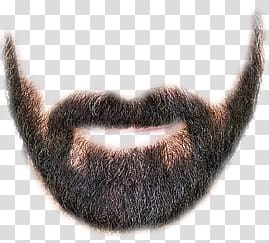 Beard transparent background PNG clipart