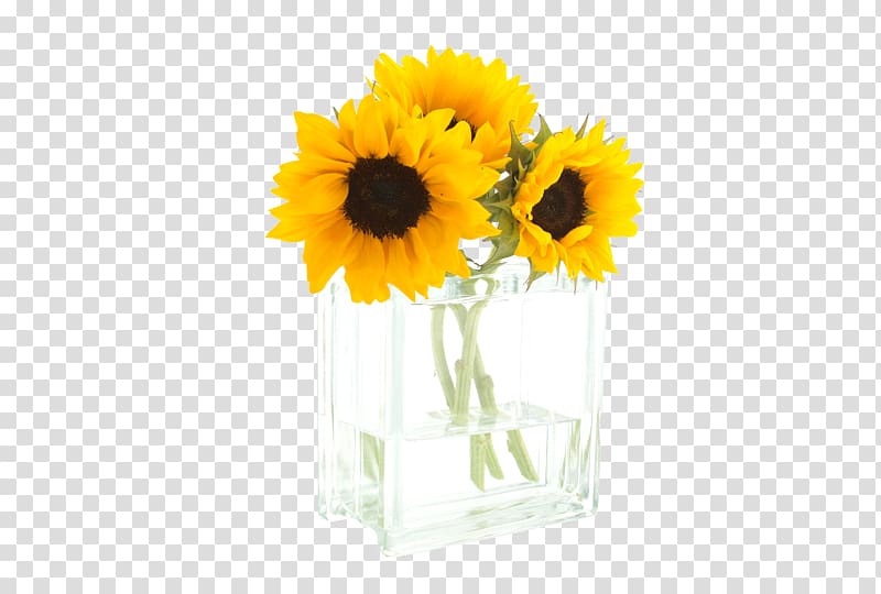 Common sunflower Morning Cut flowers, Sunflower glass vase transparent background PNG clipart