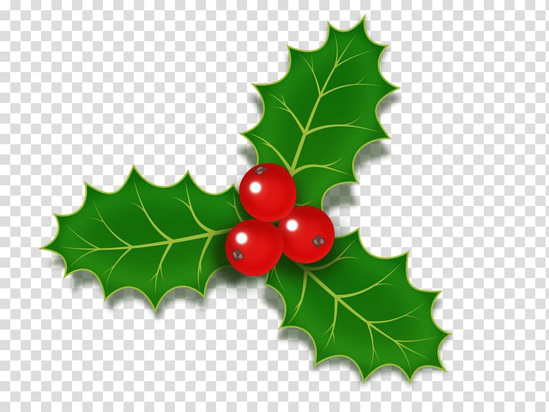 Common holly Christmas , Green leaves transparent background PNG clipart