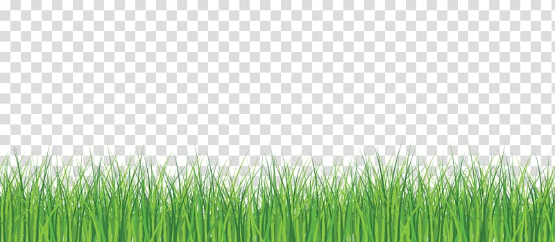 Ecologic Solutions Lawn Carpet Room, Nature drawing transparent background PNG clipart