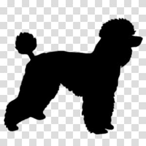dog illustration, Poodle Silhouette transparent background PNG clipart