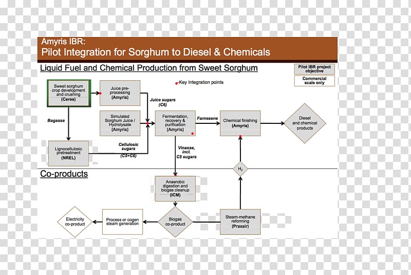 Sweet sorghum Diesel fuel Biorefinery, Sorghum transparent background PNG clipart
