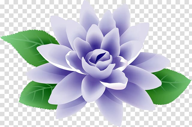 Sacred Lotus Euclidean Flower graphics Design, flower transparent background PNG clipart