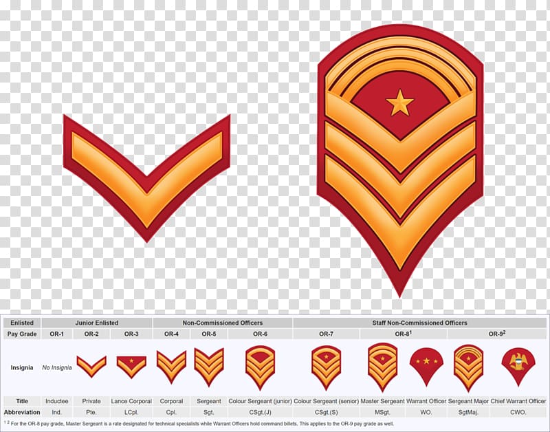 Army Enlisted Rank Insignia Chart