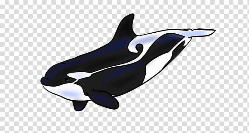 Killer whale White-beaked dolphin Cetacea, dolphin transparent background PNG clipart