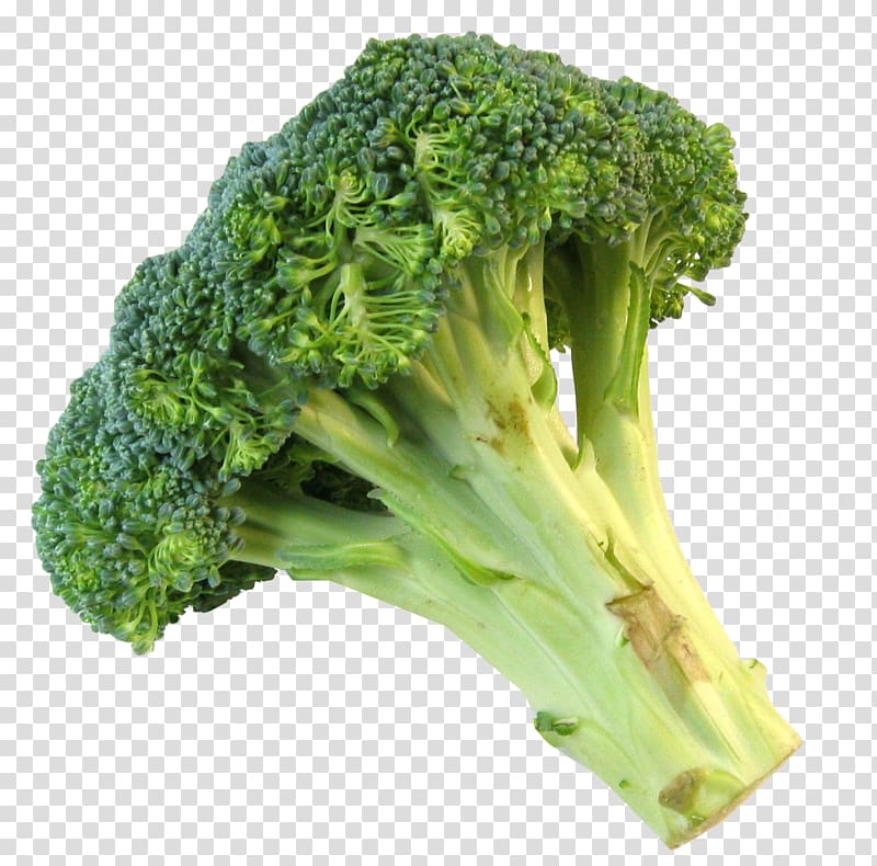 Broccoli slaw Vegetable Food, Fresh Broccoli transparent background PNG clipart