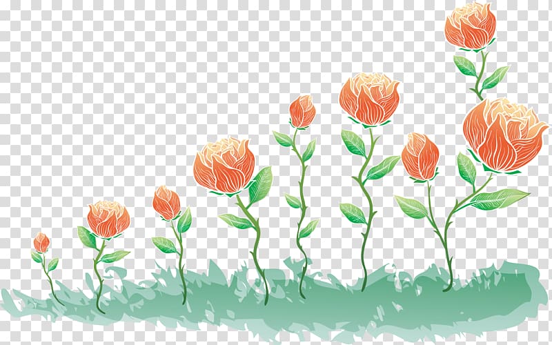 Flower Rose, handpainted flowers transparent background PNG clipart