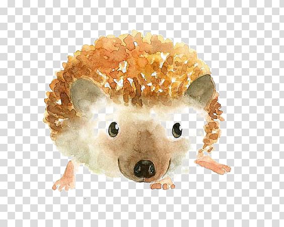 Watercolor painting Portrait Printmaking Art, Hedgehog transparent background PNG clipart