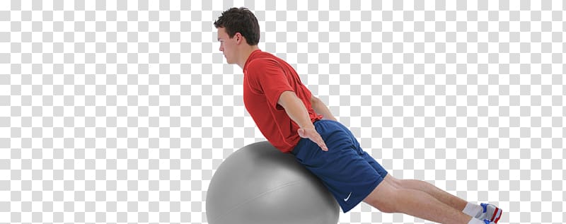 Exercise Balls Physical fitness Medicine Balls Hyperextension, workout exercises transparent background PNG clipart