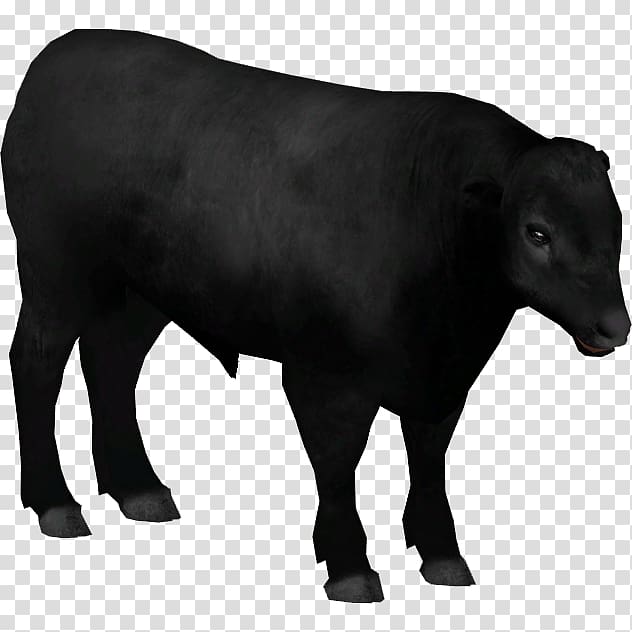 Dairy cattle Angus cattle Calf Aberdeen Bull, anguscattle transparent background PNG clipart