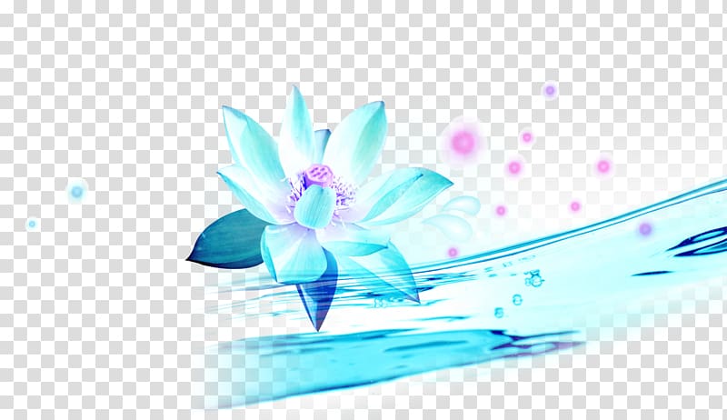 Nelumbo nucifera Lotus effect Egyptian lotus , Lotus element transparent background PNG clipart