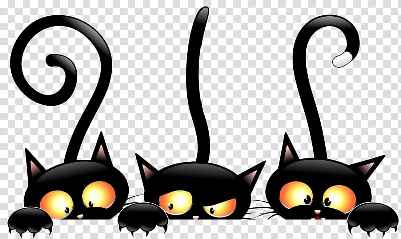 witch cat transparent background PNG clipart