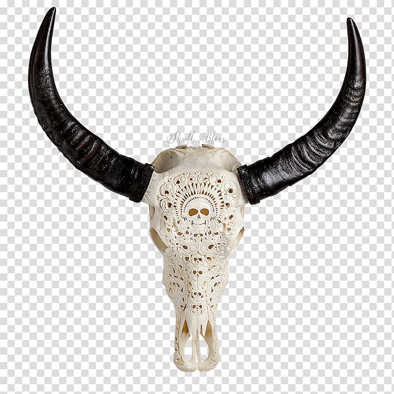 Texas Longhorn Bison Goat Animal Skulls, bison transparent background PNG clipart