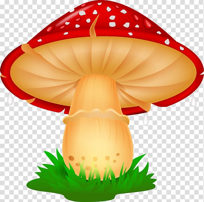 Mushroom Illustration, Cartoon beautifully fresh mushrooms transparent background PNG clipart