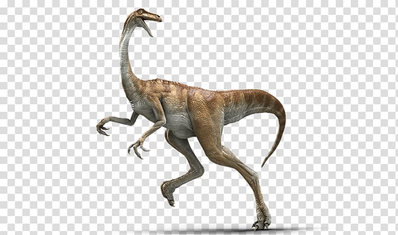 Gallimimus Velociraptor Baryonyx Parasaurolophus Jurassic Park, header transparent background PNG clipart