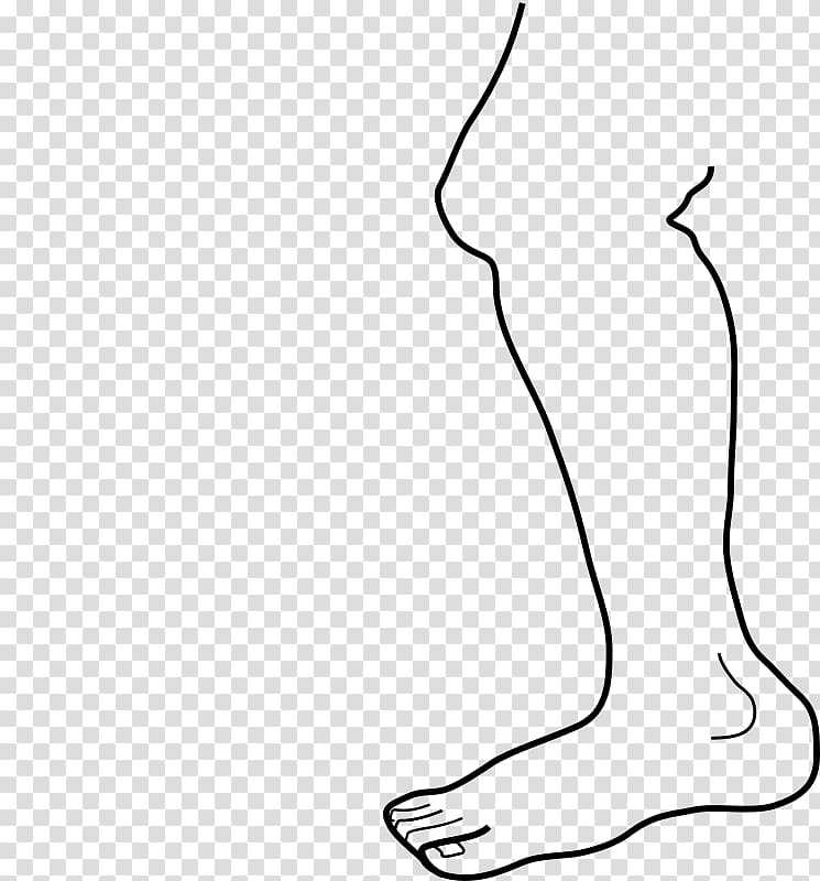 Human leg Coloring book Foot Human body , Leg transparent background PNG clipart