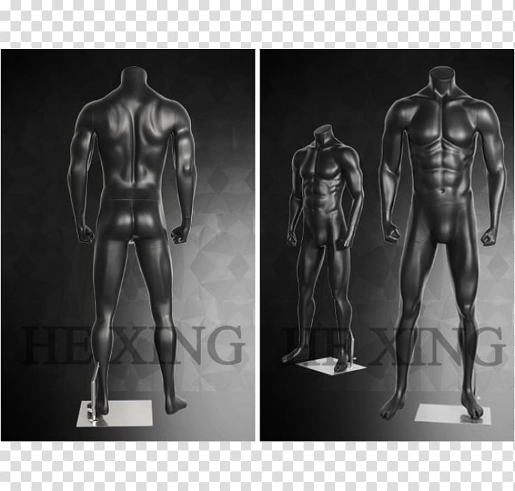 Shoulder Mannequin Homo sapiens Character Thorax, Muscular Man transparent background PNG clipart