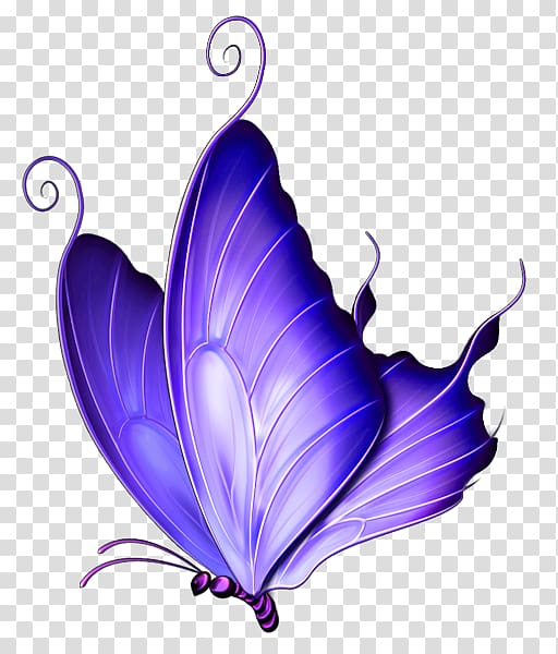Butterfly Pink , Purple Deco Butterfly , blue butterfly illustration transparent background PNG clipart