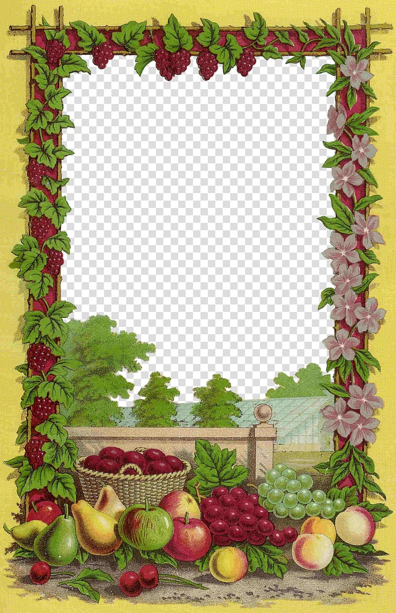 Fruit Frames Seed , Fruit Borders transparent background PNG clipart