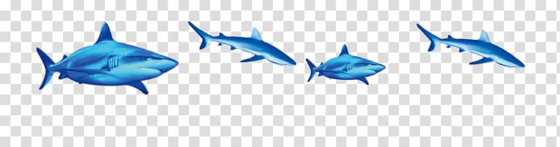Shark Fish , Submarine shark digging material transparent background PNG clipart