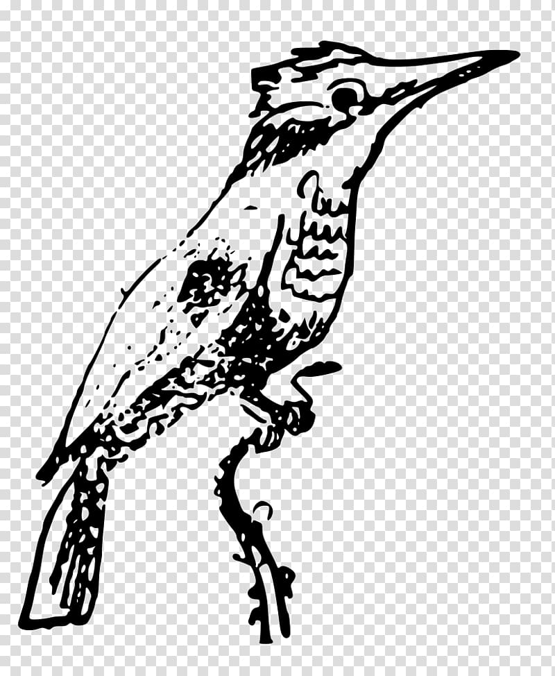 Kingfisher , flock of birds transparent background PNG clipart