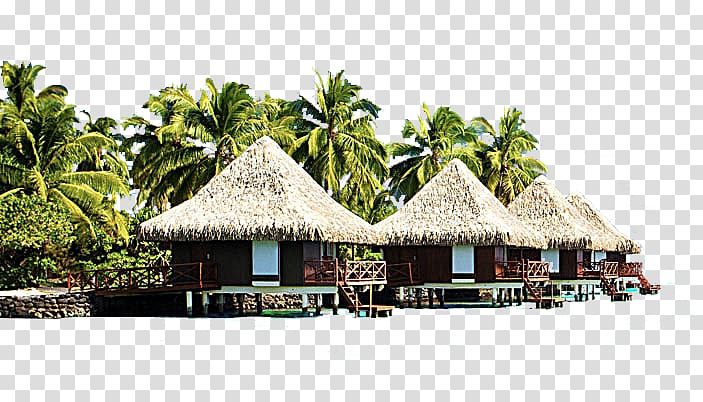 of four brown-and-red cottages, Bali Punta Cana Hotel Sofitel Bora Bora Marara Beach Resort Bungalow, coconut tree transparent background PNG clipart